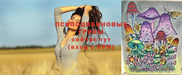 прущий лед Пролетарск